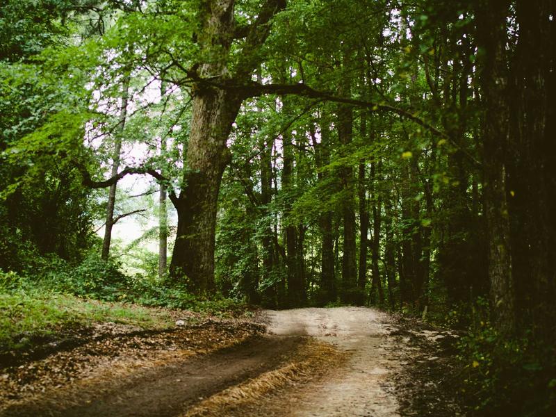 sudoku timer challenge screenshot 6