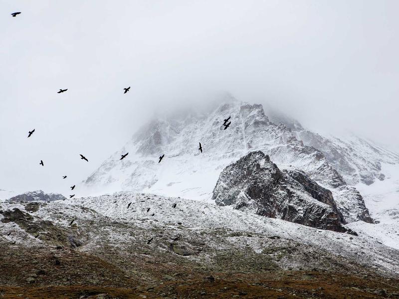 sudoku timer challenge screenshot 3